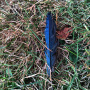 bluejay-vis.jpg