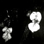 him-balsam-uv.jpg